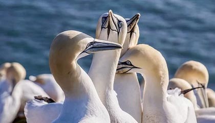 官方網站的力量：打造可信任的品牌入口